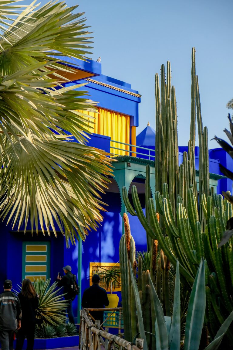 A tranquil scene in the Jardin Majorelle, a key part of any Marrakech travel guide.