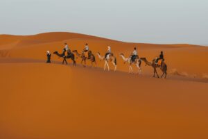 A stunning view of a camel caravan led by a Berber guide, trekking across the vast orange sand dunes during a Marrakech to Sahara desert trip